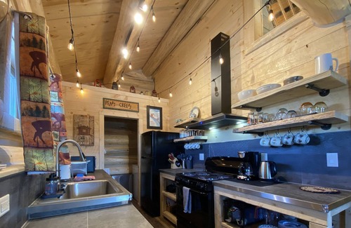 Fairplay House | New Rental! Beautiful Pet Friendly Home, Offering Accessibility Features - Clark Street Cabin