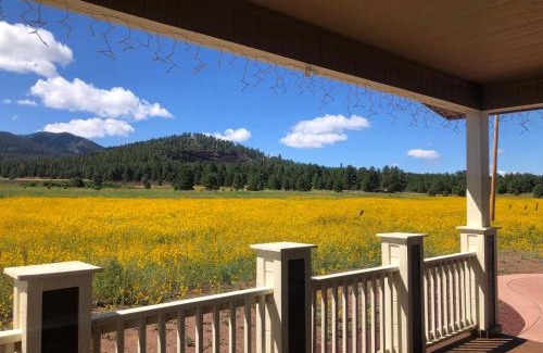 Williams House | NEW! The Grand Getaway at Williams - Family Friendly & Walk to the GC Train