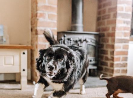 Thirsk House | NEW Thirsk Stays - Herriot's Hideaway