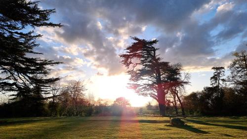 Lugwardine House | Newcourt Manor