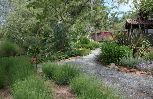 Columbia House | Newly Constructed Home at Bel Giardino