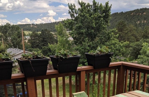 Palmer Lake House | Newly remodeled home in gorgeous Palmer Lake! You won't believe the view and almost 1/4 acre lot