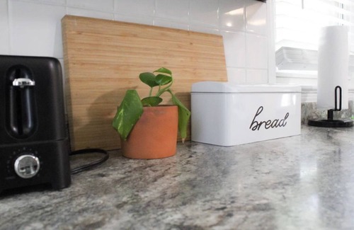 Springfield House | Newly Remodeled Home near Downtown