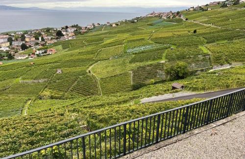 Cully Apartment | Newly Renovated 1-bedroom with panoramic view