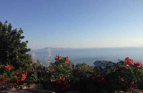 Andros House | Newly renovated stone house in olive grove with stunning sea view