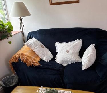 Cambridge Apartment | Next to double Nobel Laureate