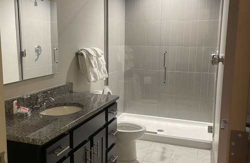 Downtown Detroit Apartment | NFL draft 2 bedroom 2bath right on Woodward in the heart of the action
