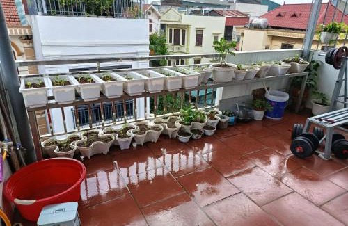 Long Bien House | Nhà tôi