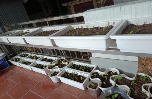 Long Bien House | Nhà tôi