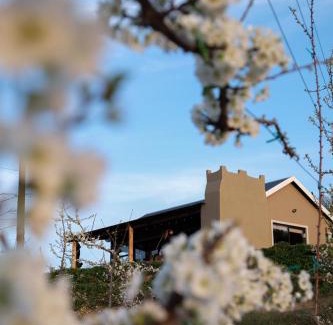 Uniondale Apartment | Nicara Floris Luxury Ecocabin