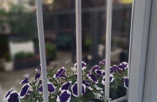 Podoli Apartment | Nice 1-bedroom apartment in Hlavní město Praha