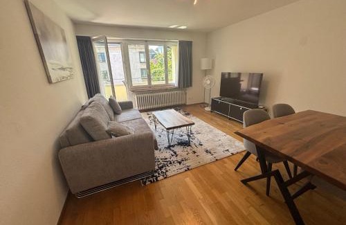 Enge Apartment | Nice 2BD flat city center near FIFA - Wille 3