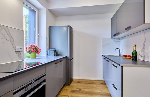 Svoboda nad Upou Apartment | Nice apartment for 4 people with WIFI, TV, terrace and pets allowed