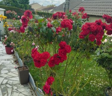 Ferrieres Apartment | Nice apartment 1 hour from Paris and 45 minutes from Orléans