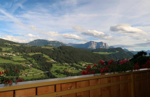 Albions Apartment | Nice apartment for 4 guests with WIFI, pool, TV, balcony and pets allowed