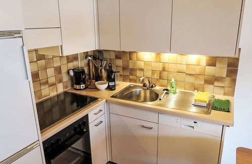 Schluein Apartment | Nice apartment for 5 guests with WIFI, TV, patio, pets allowed and panoramic view