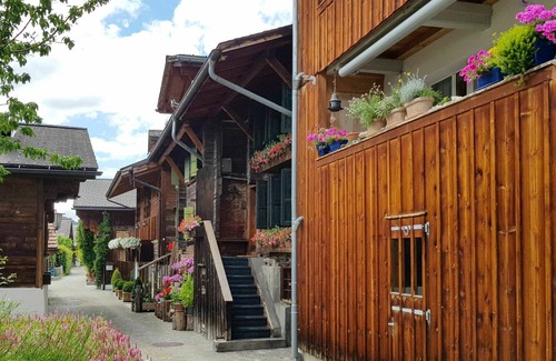 Saanen Apartment | Nice apartment for 8 people with WIFI, TV and terrace