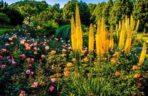 Am Waldfriedhof Apartment | Nice Apartment in der Center Of Munich