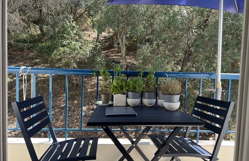 Mont Boron Condo | NICE, EXCEPTIONAL SEA VIEWS, 2 BEDROOMS WITH A/C OPEN ON A FOREST,GARAGE FOR EV