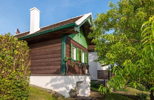 Deutsch Schuetzen-Eisenberg House | Nice home in Deutsch Schützen