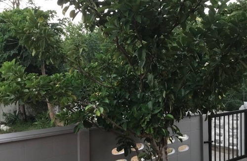 Khuekkhak House | Nice house in Khao lak, proximity to shopping, swimming, restaurants and nature!