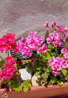 Campiglia d'Orcia Apartment | Nicolas House