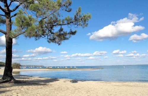 Maubuisson Apartment | nid douillet au milieu des pins entre lac et océan