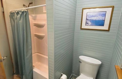 Clear Lake House | Nine Tree Corner - 2 minute walk to Lake Time Brewery or to Central Gardens