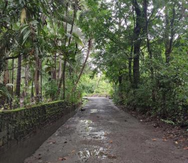 Alibaug House | Nivaant at Vicharays Plus