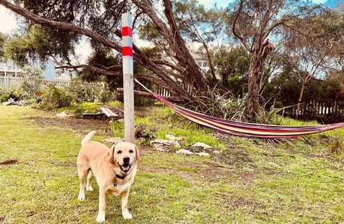 Waterhouse House | No 34 Where Nature Meets the Ocean Pet Friendly