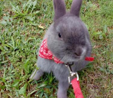 Vila Nova de Famalicao House | No Meio da Natureza - Turismo No Espaco Rural