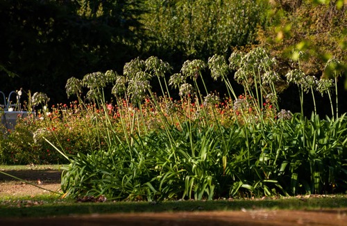 Los Corrales de Buelna House | Noble house with magnificent garden