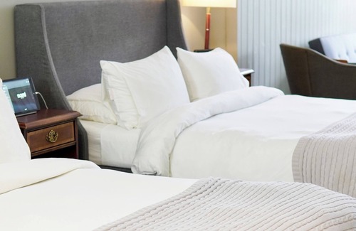 Harcourt Resort | Nomi - 305 Queen Studio (Family Room)