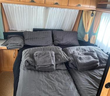 Tromso Other | Nordlys plass