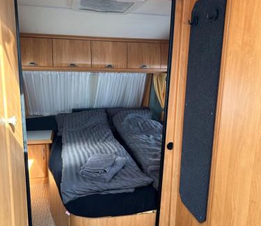 Tromso Other | Nordlys plass