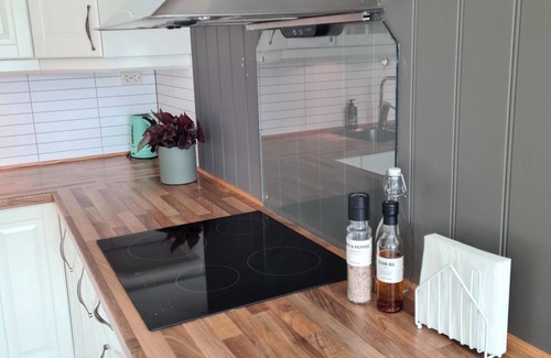 Tromso Apartment | Norhernlight Luxus home -5 min AirPort-free park