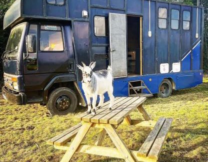 West Heslerton Other | North Yorkshire Horse Box
