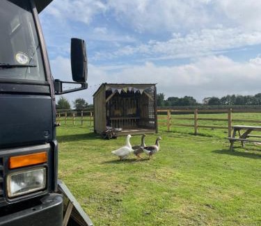 West Heslerton Other | North Yorkshire Horse Box