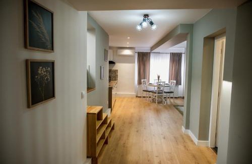 Reghin Apartment | Nova Studio Apartments