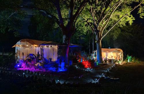 Agua de Dios Other | Novaglamp Alma, amor y bosque