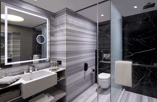Alwarpet Hotel | Novotel Chennai Chamiers Road Hotel