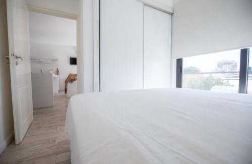 San Pedro Apartment | Nuevo depto en el centro