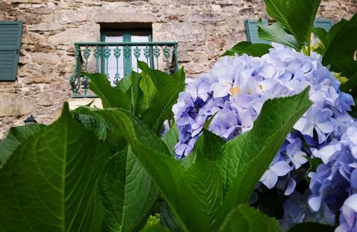 Outes House | O Lughar Dabaixo Fogar Natural