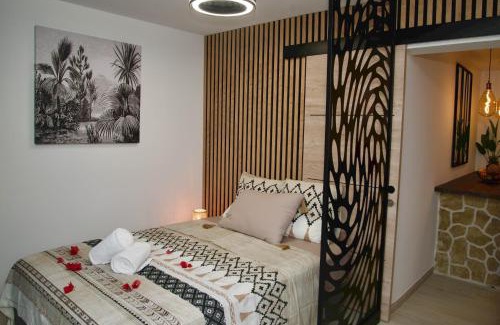 Centre Ville Apartment | O'Meublés des 2Bois- Le Filao-Piscine chauffée & Spa