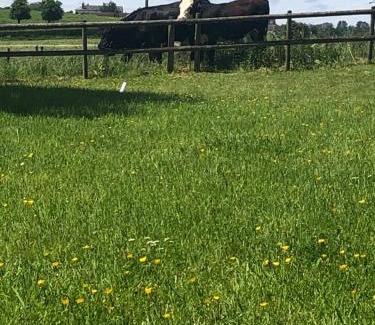 Caynham House | Oak Barn, Ludlow