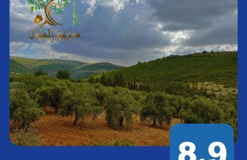 Suwailih House | Oak Farm مزرعة الملّول