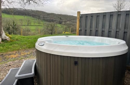 Llandovery House | Oakies Farm Stays