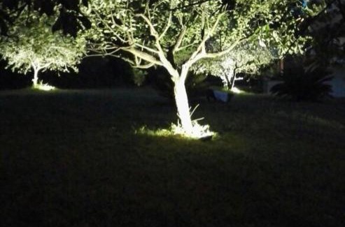 Luni Apartment | Oasi degli ulivi