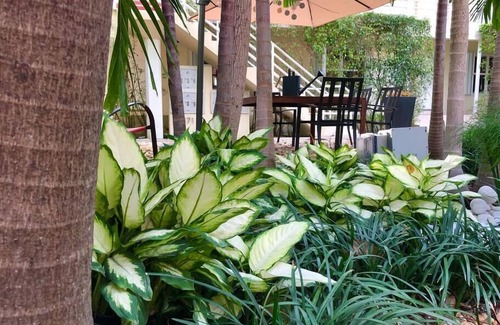 Edgewater Apartment | Oasis-12 5 MIN FROM MIAMI BEACH, Studio, Miami Design District & Wynwood