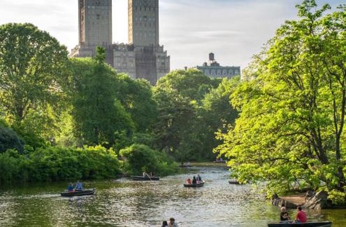 Central Park South Apartment | Oasis Room at a Shared Apartment by Times Square